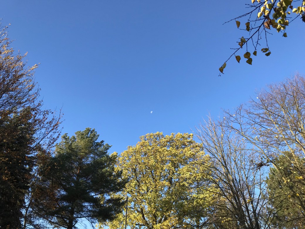 Moon is Visible with Sun