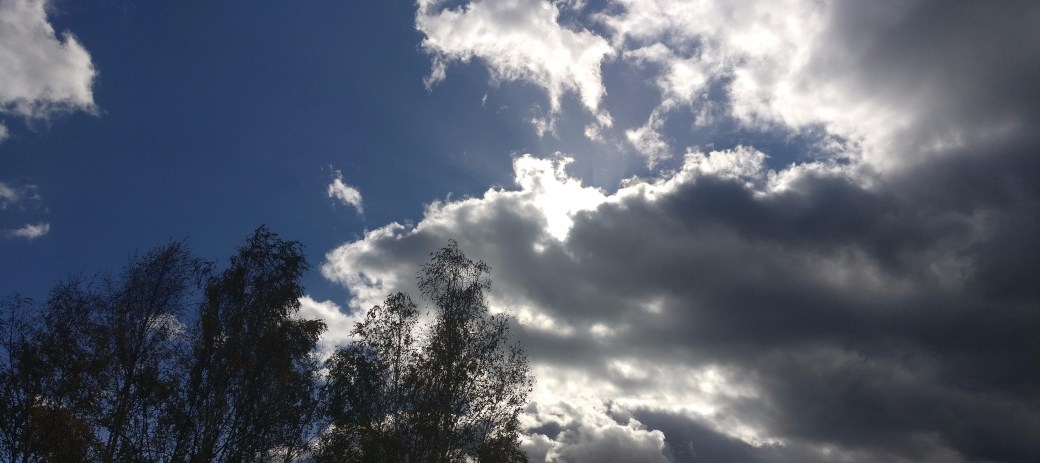 the bright clear sky