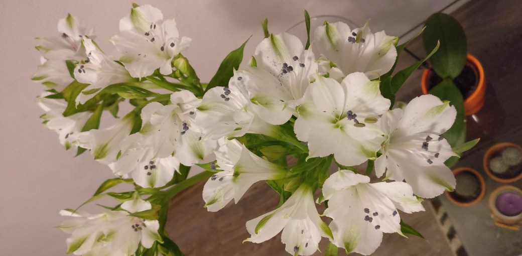 love white flowers