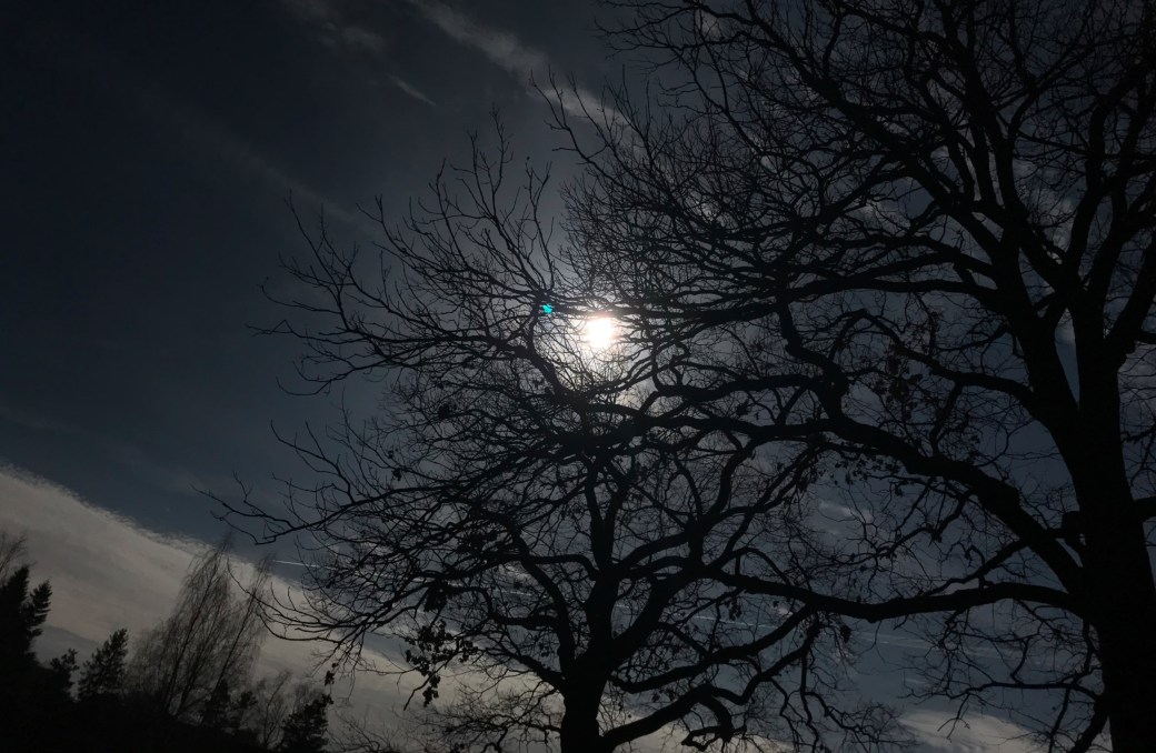 magic of the creation