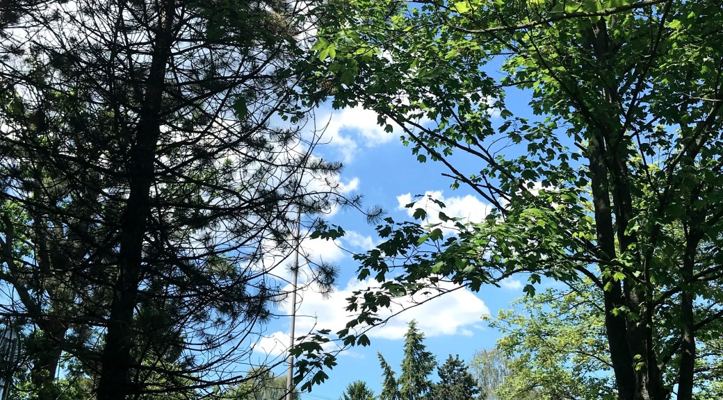 Life in between earth and sky