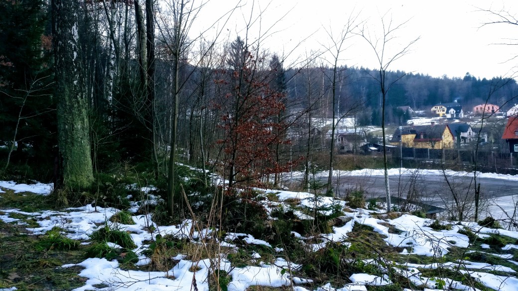 one snowy day in Liberec